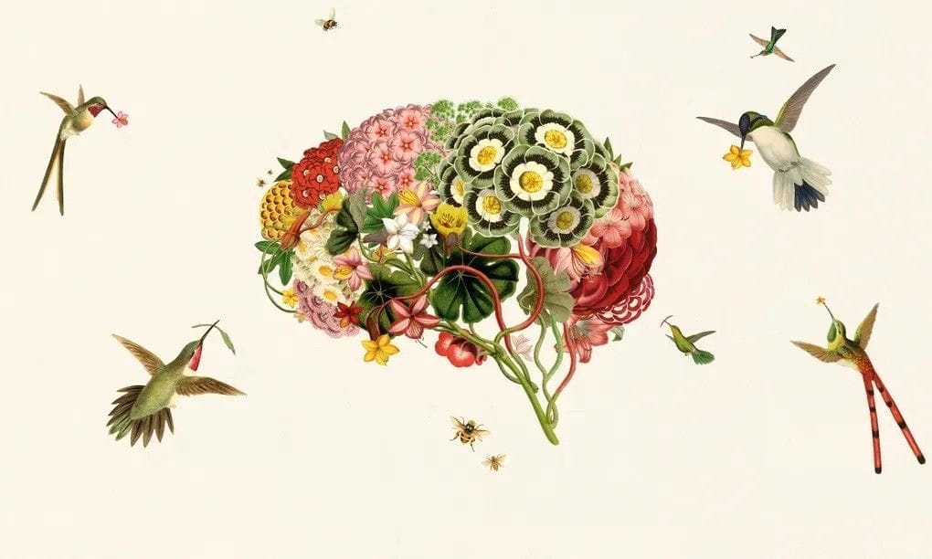 Rewire Your Brain for Sustainable Change